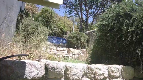 proB8  09-06-2022